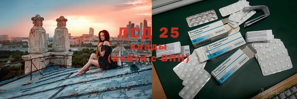 spice Пересвет