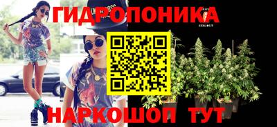 таблы Гусев