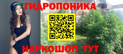 таблы Гусев