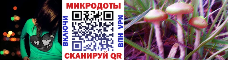 магазин продажи наркотиков Корсаков Галлюциногенные грибы Psilocybine cubensis