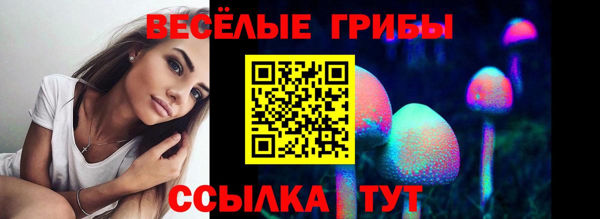 Галлюциногенные грибы Psilocybe  Псилоцибиновые грибы мицелий  Корсаков  Вход с VPN 